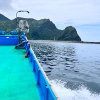 清江魚行