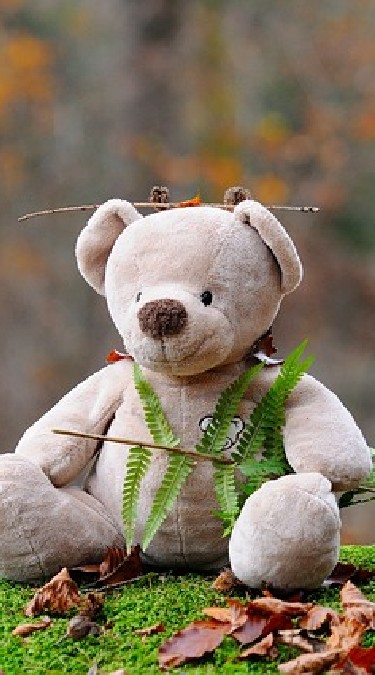 ของเล่น