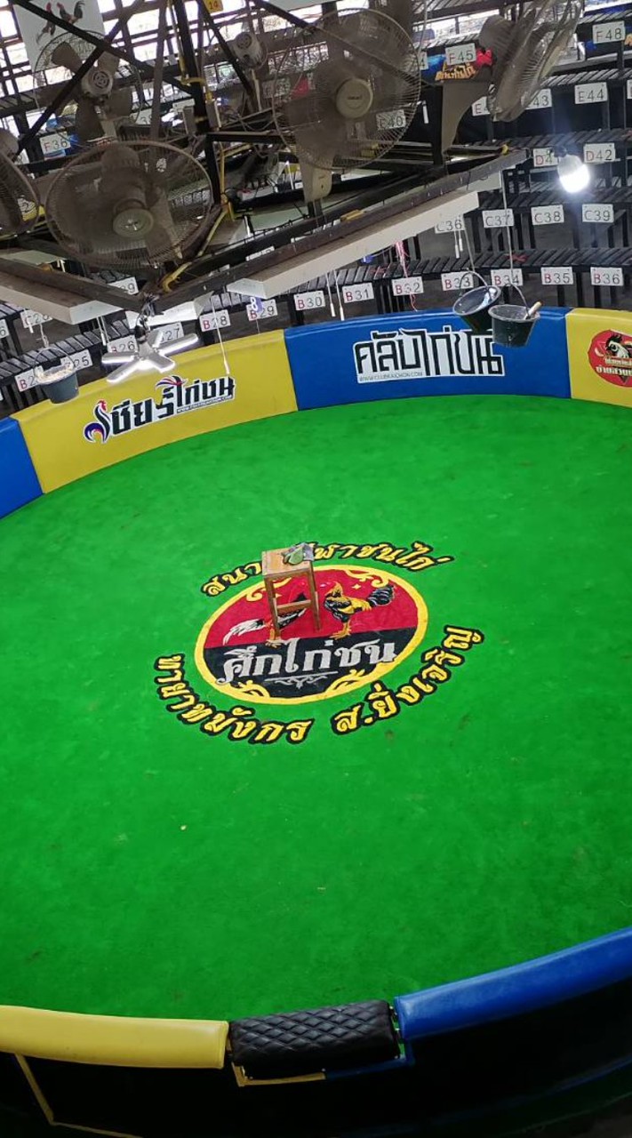 สนามทายาทมังกร ส.ยิ่งเจริญ (สังกัดโกวเซ้มฟาร์ม)