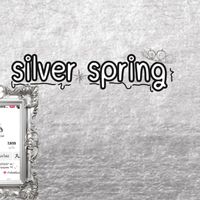 silver spring