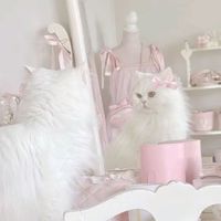 る ん く ら ぶ ୨ৎ