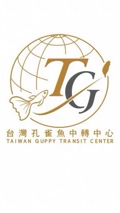 台灣孔雀魚中轉中心