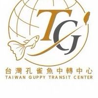 台灣孔雀魚中轉中心