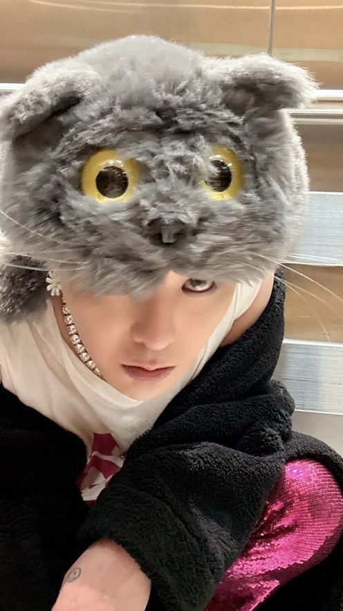 綾仙女🌼11/1交換應援聯絡群