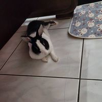 日韓台各國生活小舖