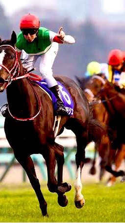 ソシャゲと競馬のオープンチャット