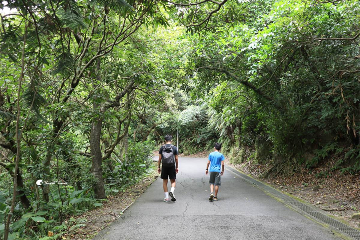 最快５分鐘輕鬆攻頂！新北９條懶人步道：台版「奧入瀨溪流」、絕美陰陽海