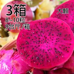 ◎來自南投的紅寶石|◎清甜輕食無負擔|◎清涼消暑好味道品牌:一等鮮類型:水果水果種類:火龍果重量/件:9斤包裝:箱裝配送方式:常溫產地:台灣保存期限:3~5天食品業者登錄字號:F-184822655-