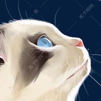 貓咪愛愛(*ˉ︶ˉ*)