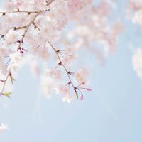 活動者、活動者サポートをやりたい人募集✨（グループ、ユニット、個人）