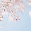 活動者、活動者サポートをやりたい人募集✨（グループ、ユニット、個人）