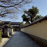 情定嘉添里