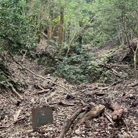 カワサキボランティアネットワーク　神戸登山道維持活動