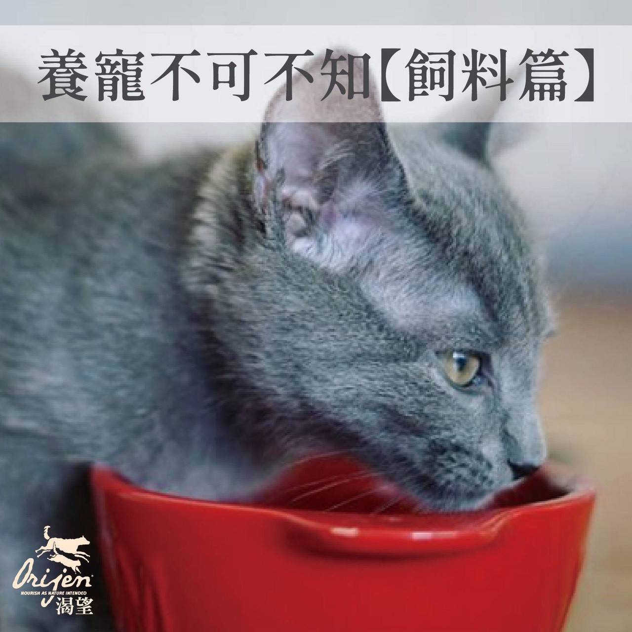 加拿大 Orijen 渴望 室內貓 低卡減肥 野牧鮮雞 1KG (原裝包裝)