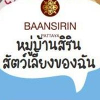 ลงทะเบียนสัตว์เลี้ยง หมู่บ้านจัดสรร บ้านสิริน