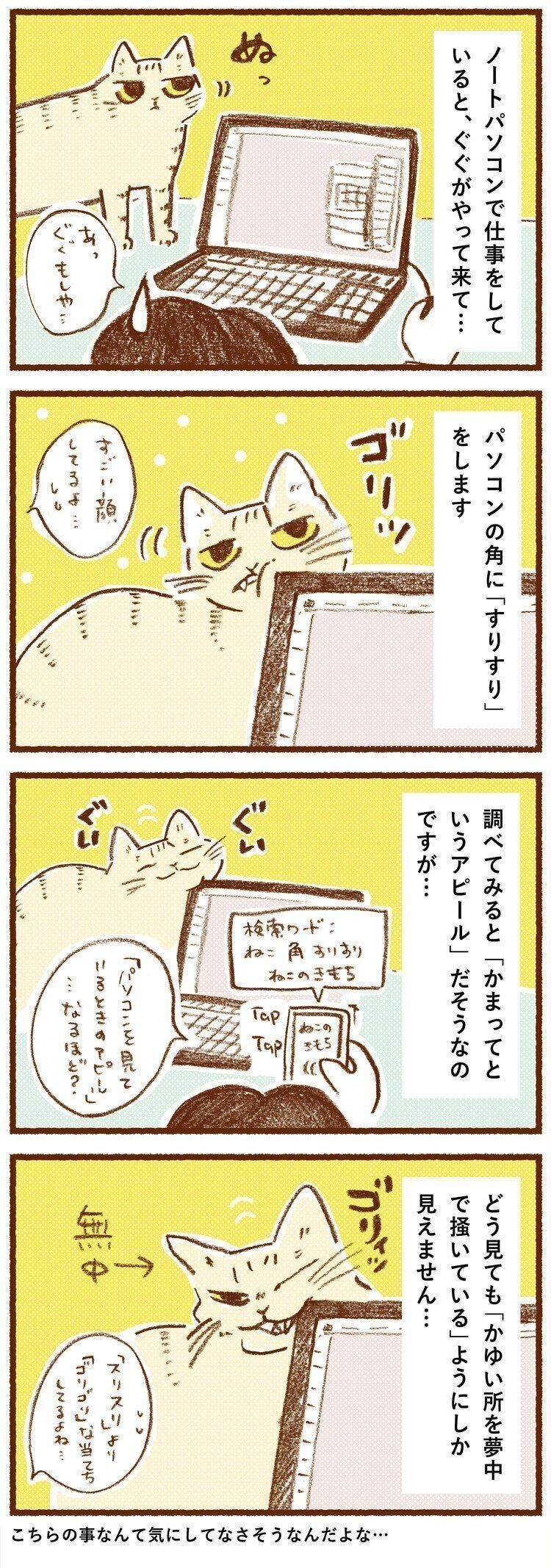 パソコンの角に すりすり するのは かまってアピール