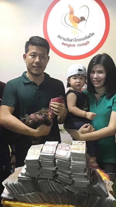 เต้ย เจ้าตากฟาร์ม ควายไทย ไก่ชน