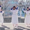 🌸ばでぃーず集まれ！🌸@櫻坂46