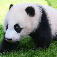 アトピーをあきらめない‼️最強の体質改善