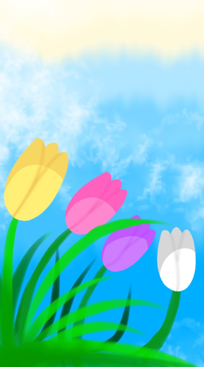 {Tulips in the flower✨️}