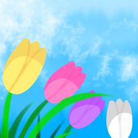 {Tulips in the flower✨️}