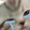 ตัวแทนร้าน 𝐁𝐞𝐞𝐛𝐱𝐲