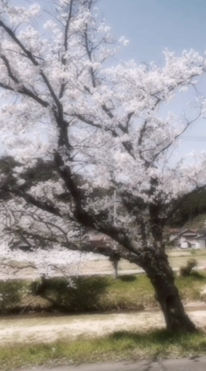 島根県民集まれ…！