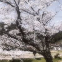 島根県民集まれ…！