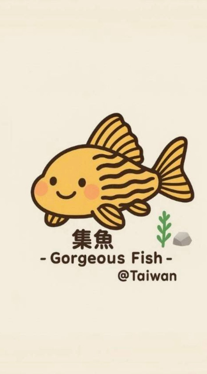 集魚 - Gorgeous Fish - @Taiwan