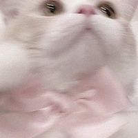 垢抜けたい子集まれー！コスメについてもおしゃべりしたーい！結構沢山話す人大歓迎！