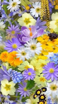 🌱全国🌼花いけ🌼コミュニティ🌱