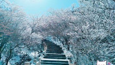 【黃山】走進冰雪奇緣的山中仙境 行前準備 交通住宿 景點行程全攻略