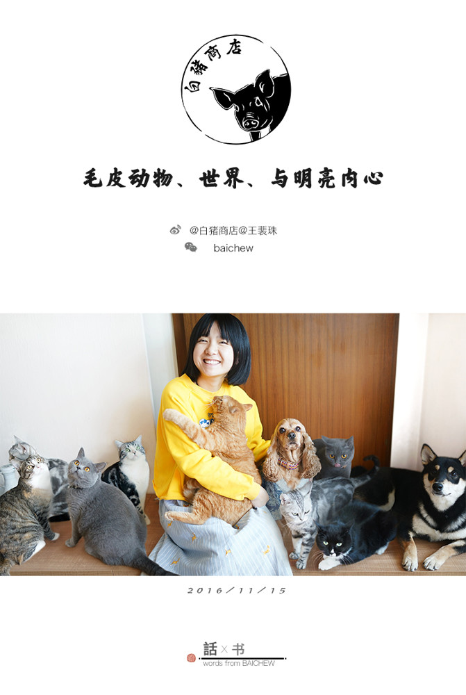 寵物吹風機 白豬商店 pettime寵物烘干箱貓用智慧烘干機吹水機球形洗澡 免運