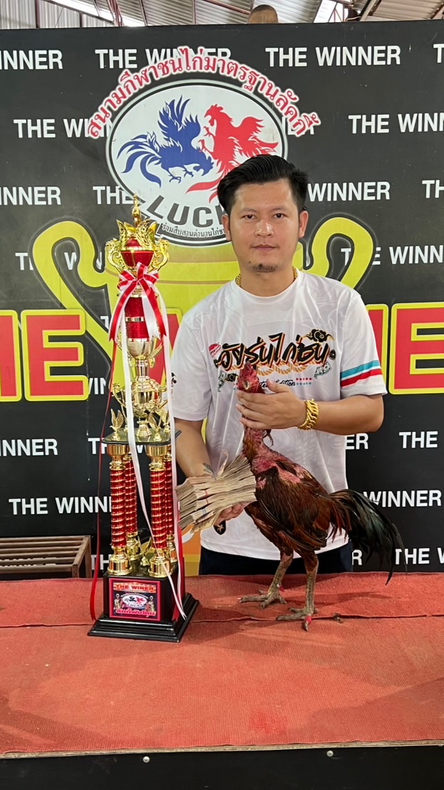เอ็ม ที ฟาร์ม