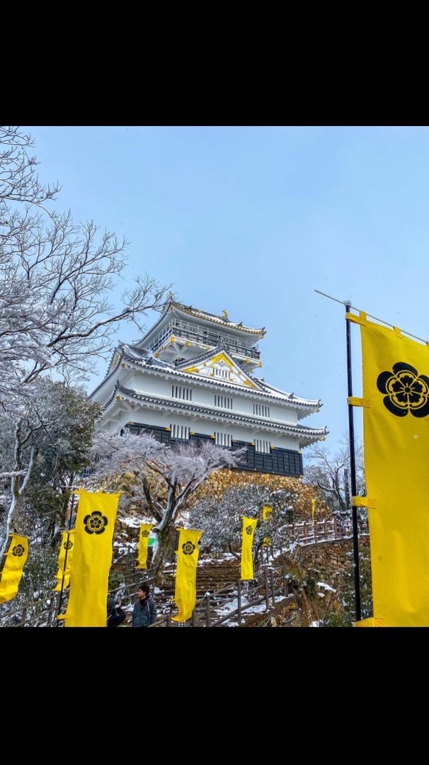 岐阜⛰登山