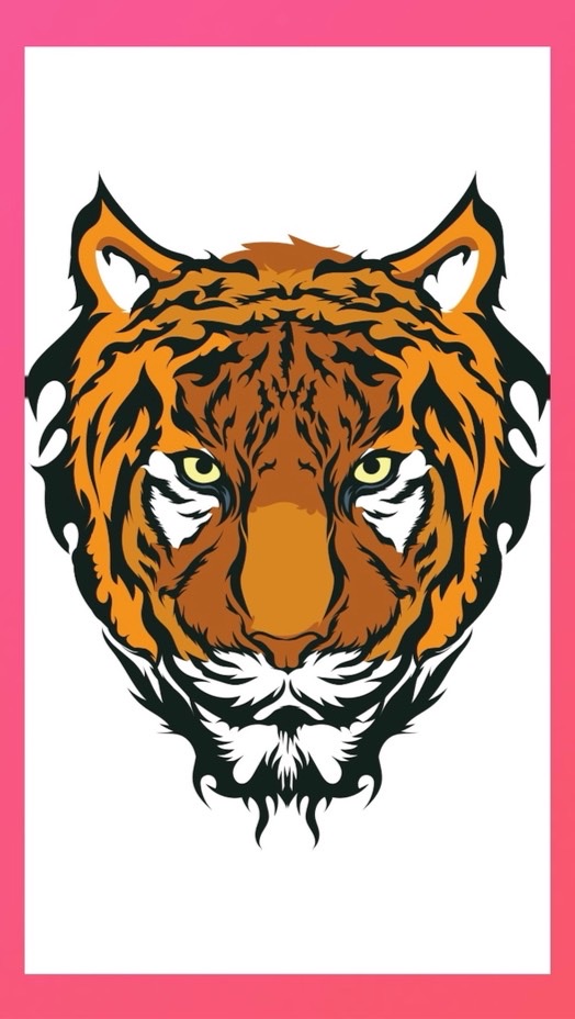 貓科動物自由健身團隊