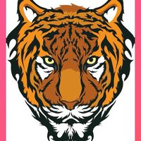 貓科動物自由健身團隊