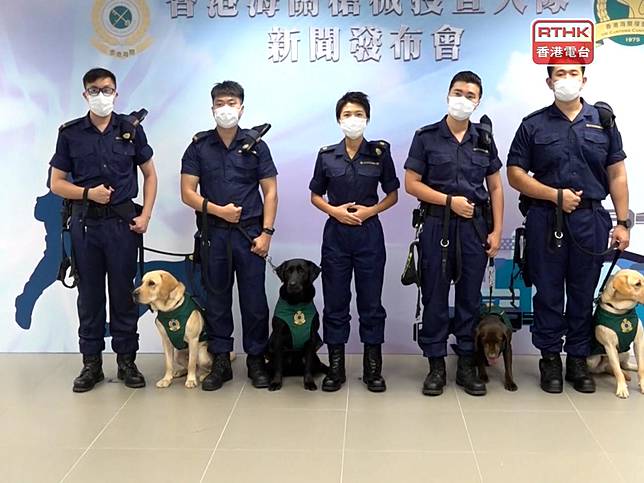 海關訓練搜查犬協助評估懷疑槍械加強反恐等偵緝能力 香港電台 Line Today