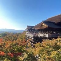 รับหิ้วญี่ปุ่น🇯🇵 by Yumiko