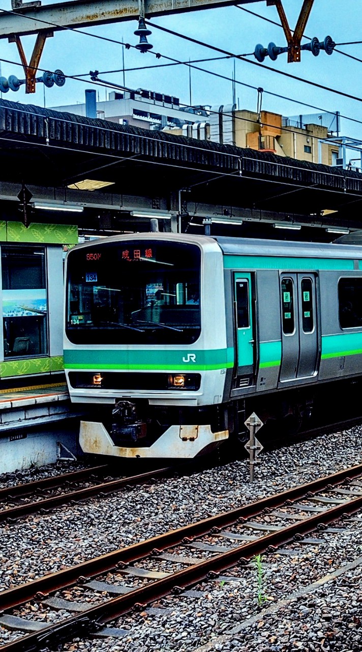 鉄道ファンあつまれ!