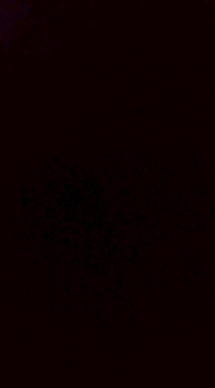 ค่ายมวยบ้านชลซอย10