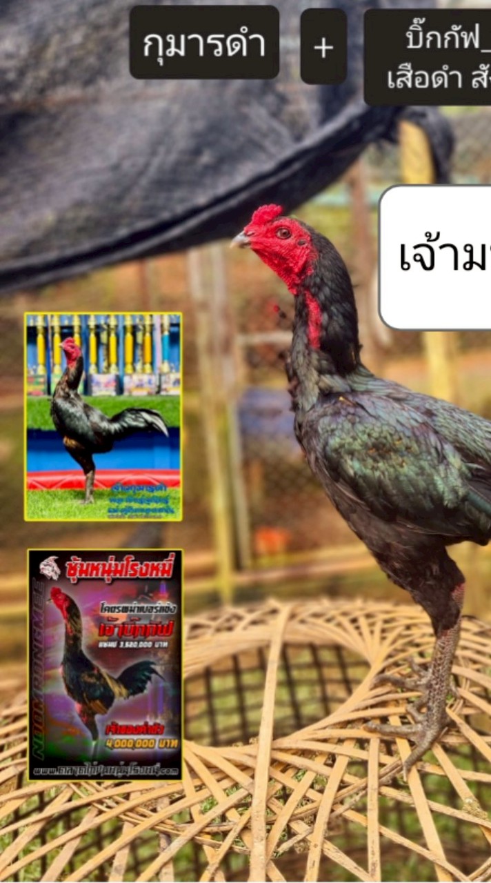 กฤษดาฟาร์ม