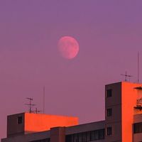 當我說安靜就不要說話