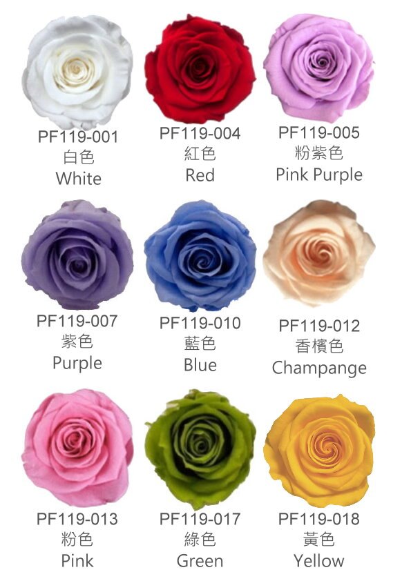 出口日本/韓國A級永生花材-永生玫瑰花 迷你玫瑰 L size, 免運