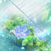 難聴友達を作りたい🍀*゜