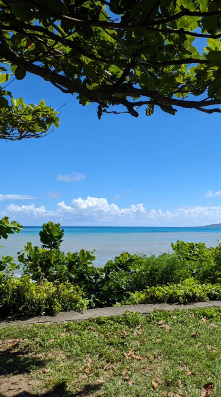 🤿純國內外潛潛同好交流🏖️🏄👙