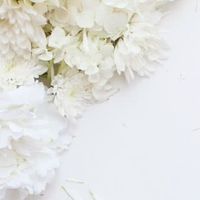 ボイメで歌おう！！