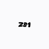 ZB1 渡韓&本国情報共有(20↑)