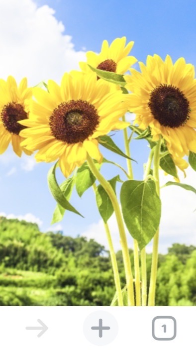 【 北九州界隈 🌻 】 20代〜50代まで幅広くメンバー募集‼️オフ会通じて生涯の友達作りましょ🍺😊