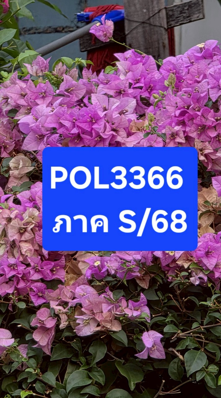 POL3366 ภาค S/68